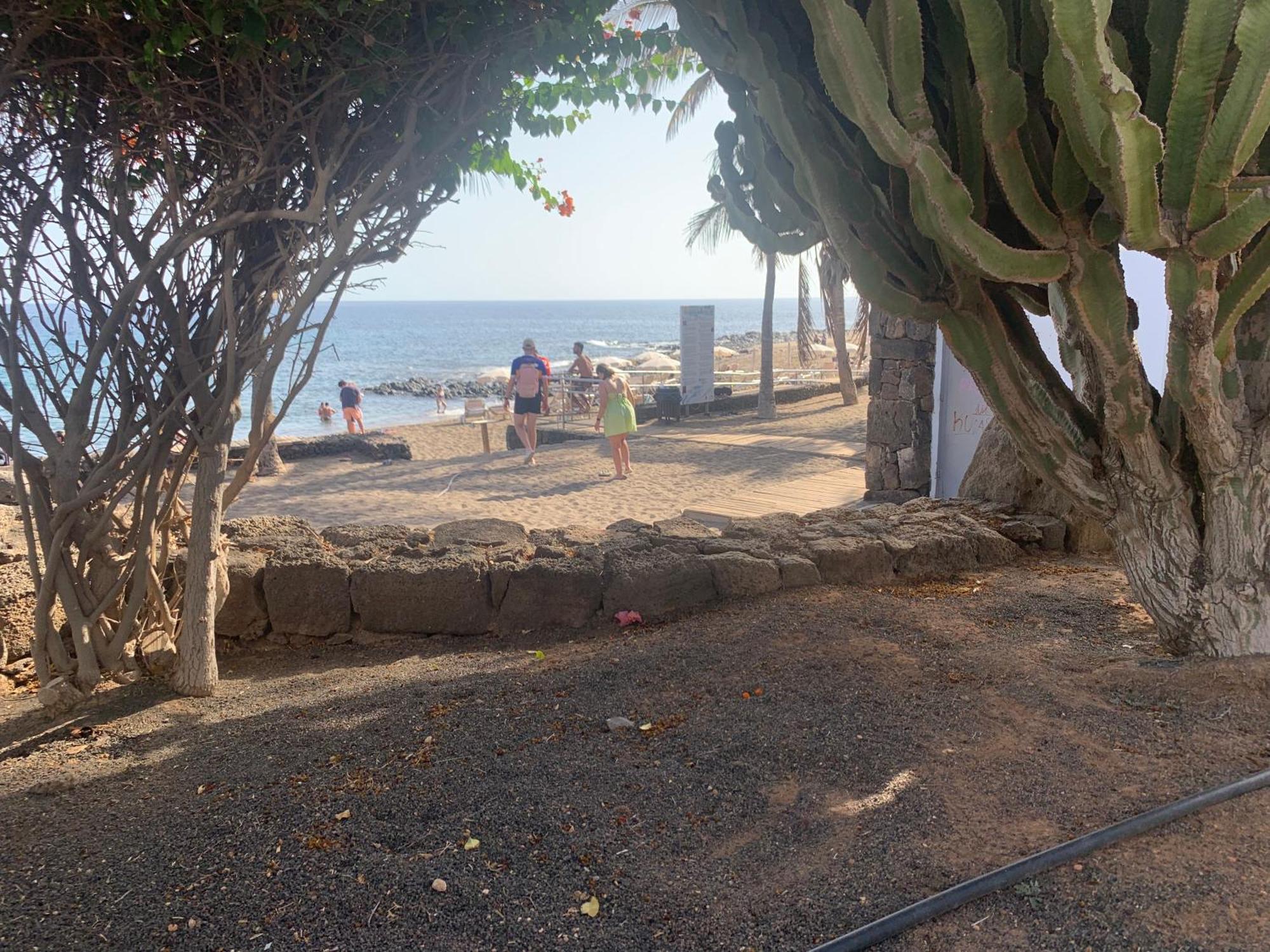 One Bedroom Playa Bastian Apartment *
